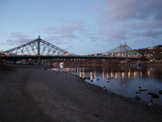 Blick zur Loschwitzer Brücke in Dresden