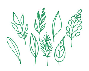 A set of botanical design elements. Eight green leaves drawn by marker