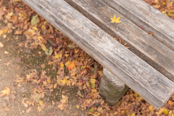 ベンチ / Autumn bench, Japan