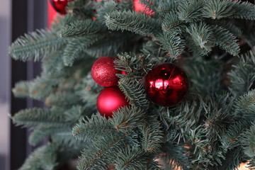 shiny Christmas red ball on Christmas tree