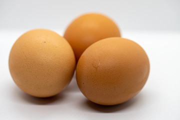 eggs