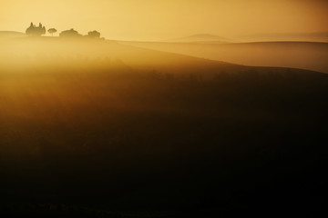 The hills of Tuscany in the sunshine and morning fog surrounded by cypress trees, as symbols of this famous region of Italy. A true classic Italian landscape.