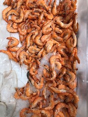 shrimp in the market