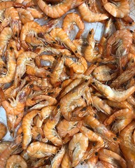 fresh shrimps in the market