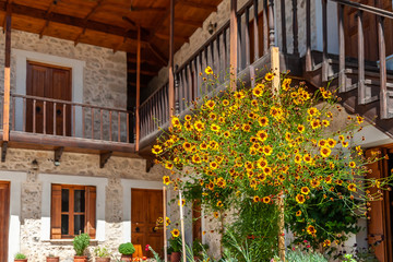 Fototapeta na wymiar Bush of flowers near the stairs in the courtyard of the monastery