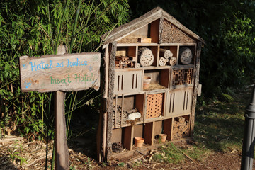 an insect hotel in the forest