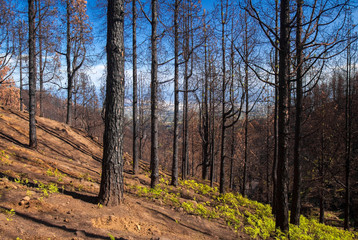 Gran Canaria, November