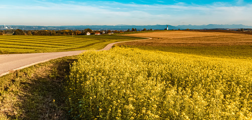 Beautiful autumn view with the alps in the background near Tittmoning, Bavaria, Germany