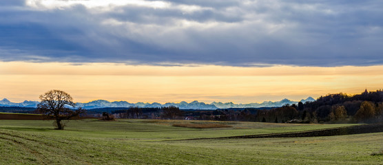 Obraz premium Tree in front of an alpine panorama in the evening with the foehn weather