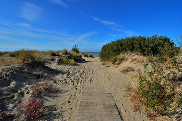 nieuport dune mer