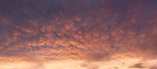 panorama of dramatic cloudscape at sunset with red clouds on sky - obrazy, fototapety, plakaty
