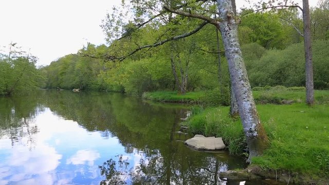Panning footage of Sarthe River in France