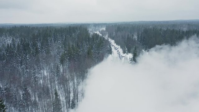 Steam from running retro train in forest