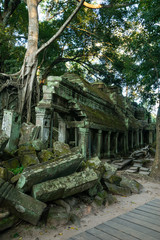 Ta Prohm Temple Siem Reap Cambodia