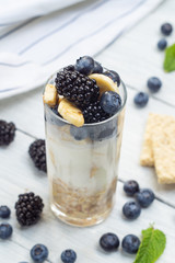 Ingredients for smoothies of banana, blueberry, blackberry, oatmeal and yogurt