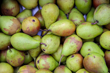 Seasonal fruits are placed in boxes in the grocery store.