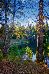 Beautiful autumn trees reflecting on the smooth water surface. Warm autumn day on the river. River bank landscape.