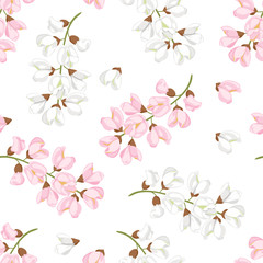 Acacia flowers seamless pattern. Branches of blooming acacia isolated on white background. Vector illustration of blossoming tree in cartoon flat style. White and pink acacia.