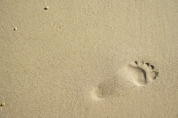 Fototapeta na wymiar footprint in the sand on a beach