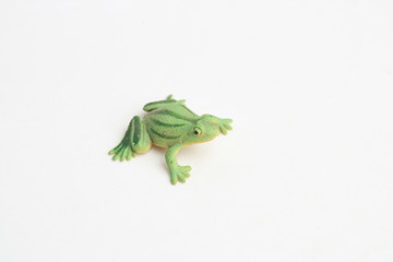 frog shaped rubber toy in color background