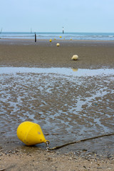 Empty beach with low tide and line of yellow buoys