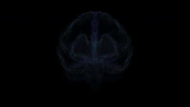 Abstract glittering brain MRI with depth of field. Animation of head scan. Medicine futuristic footage. Conceptual science design of cerebellum tomography. 4k UHD.