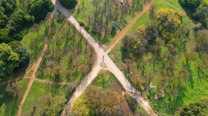 Aerial drone top down photo of beautiful nature in Greenwich park, London, United Kingdom