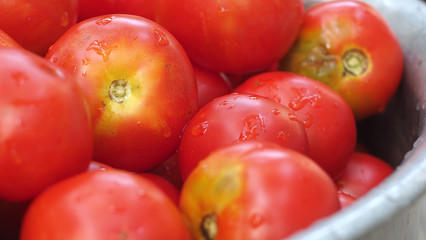 a lot of red tomatoes background. Lots of red ripe appetizing tomatoes background