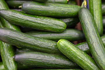 Green cucumbers on shelf in supermarket. Organic eating.
