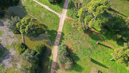 Aerial drone photo of beautiful park of Syggrou with rare trees and beautiful nature, Marousi, North Athens, Greece