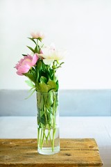 bouquet of pink peonies in living room