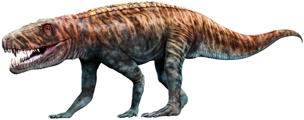 Obraz na płótnie Canvas Batrachotomus from the Triassic era 3D illustration