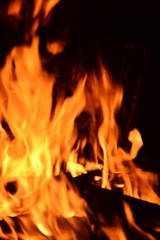 Fototapeta premium Fire