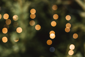 Lights blurred bokeh background. Defocused christmas lights and decorations for background.