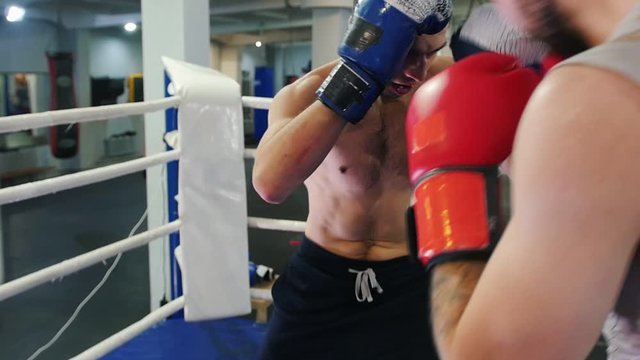 Boxing training indoors - two men having an aggressive fight on the ring - pushing the opponent to the corner