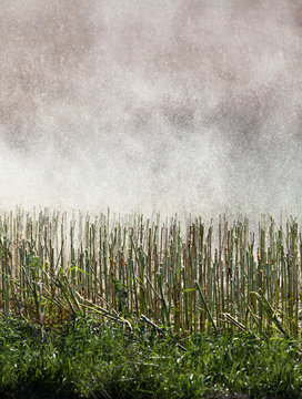 Watering field