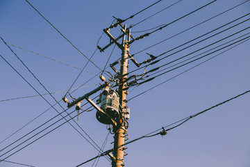 Electricity power poles 