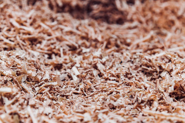 Wood shavings in a woodworking workshop