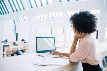 Back view of afro american female entrepreneur working online with information for startup project, skilled woman searching new website of corporate company connected to wireless for browsing internet