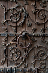 Details of closed door, Saint Fin Barre's Cathedral, Cork, Republic of Ireland