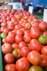 tomatoes at the market
