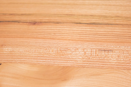 The texture of the young and light-colored wood. Light wood surface. Dramatic close-up image of the wood texture