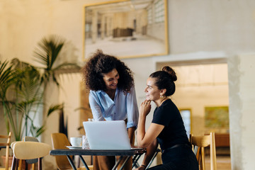 Friends working together in a bistro, using laptop