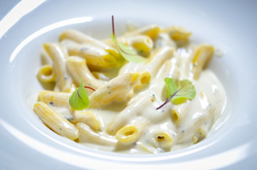 delicious italian pasta with mix cheese