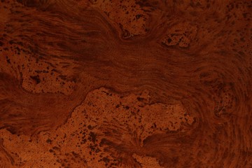 Vieux cuir bicentenaire