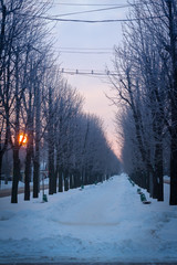 snowy road in winter city