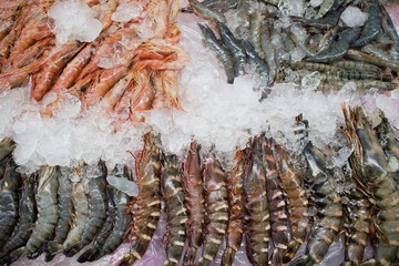 Fresh shrimps and prawns on ice at Jagalchi Fish Market, Busan, Korea