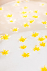 Bathtub with foam bubbles and yellow flowers close-up. Flower bath tub in spa, wellness treatment concept. 