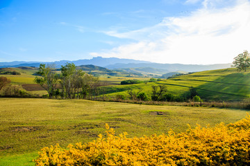 Fototapeta premium Drakenbergen South Africa