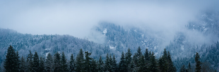 Wolken mit Wald und Berge in im Winter - Alpen Panorama